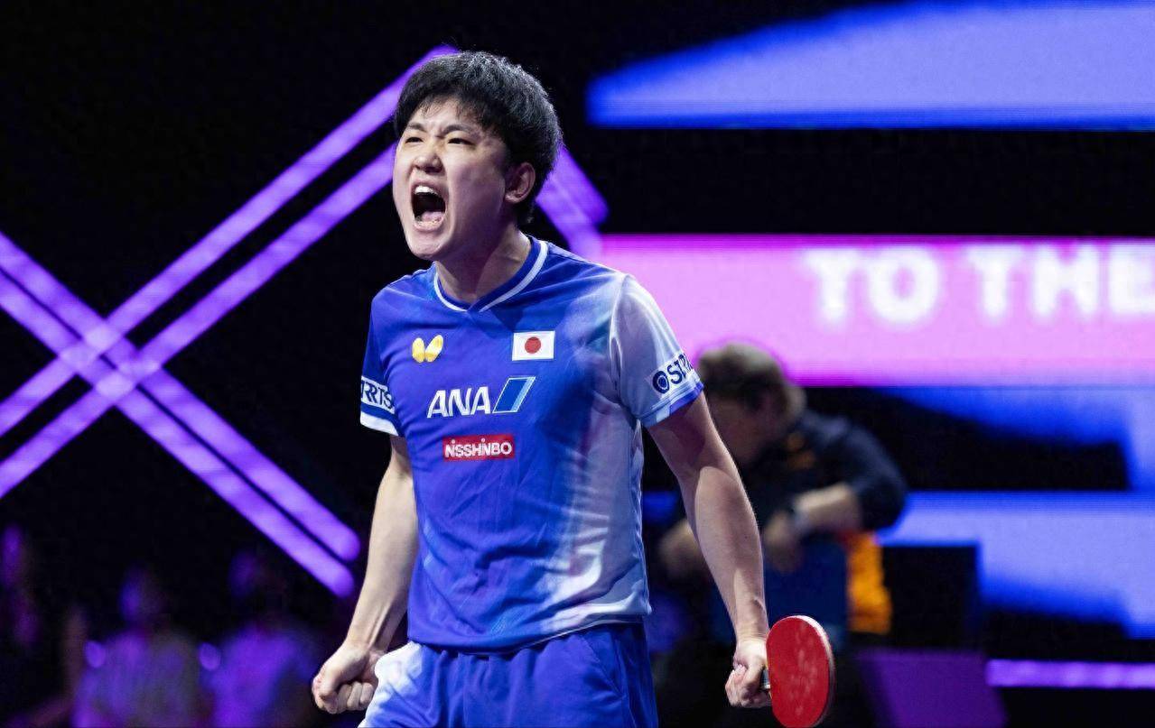 关于比利时乒乓球队血洗日本乒乓球队，张本智和送出助攻的信息