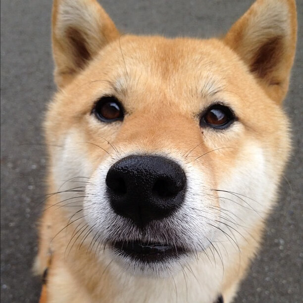 爱游戏tv-灯塔守望者，门迪与那不勒斯的月夜对决