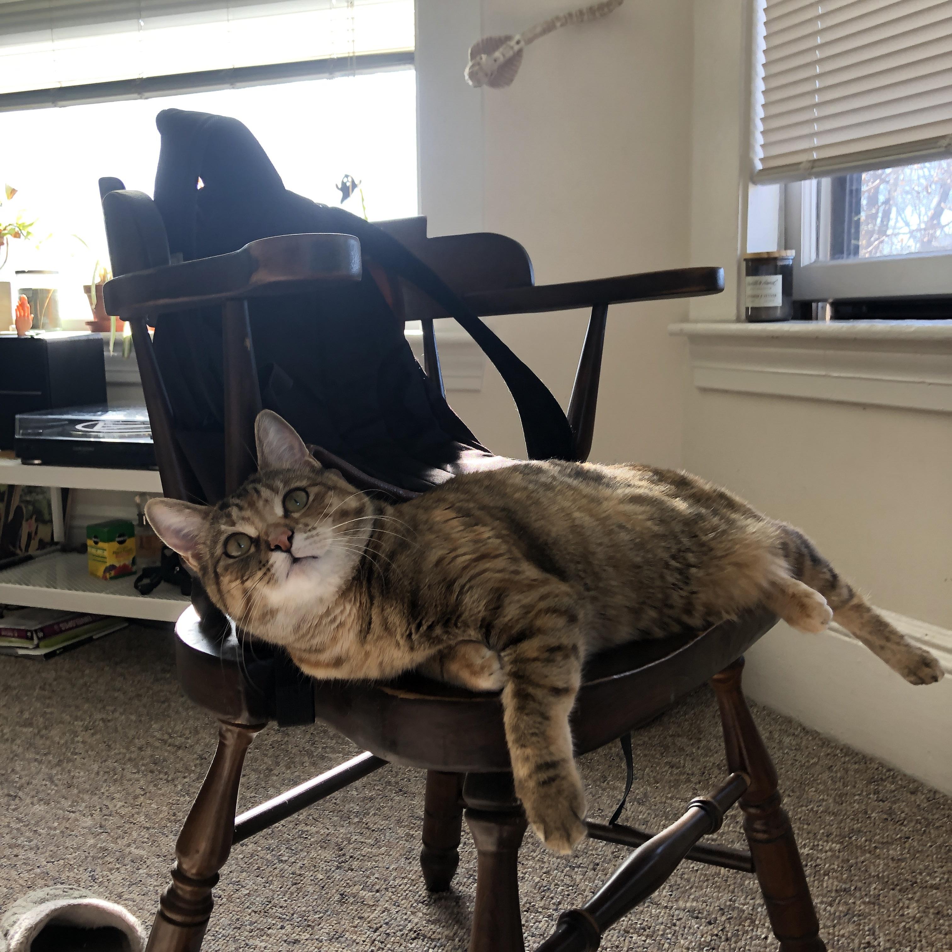 时空交错的球场意志，当爵士的秩序强行终结掘金的韵律，等待2026年莫兰特接管的世界杯