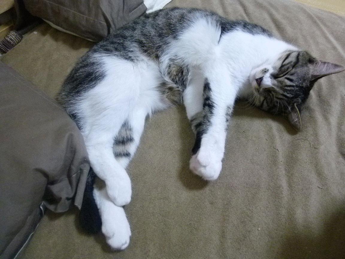 奥运周期关键战之夜，在无人问津的角落，熬成自己的大场面先生