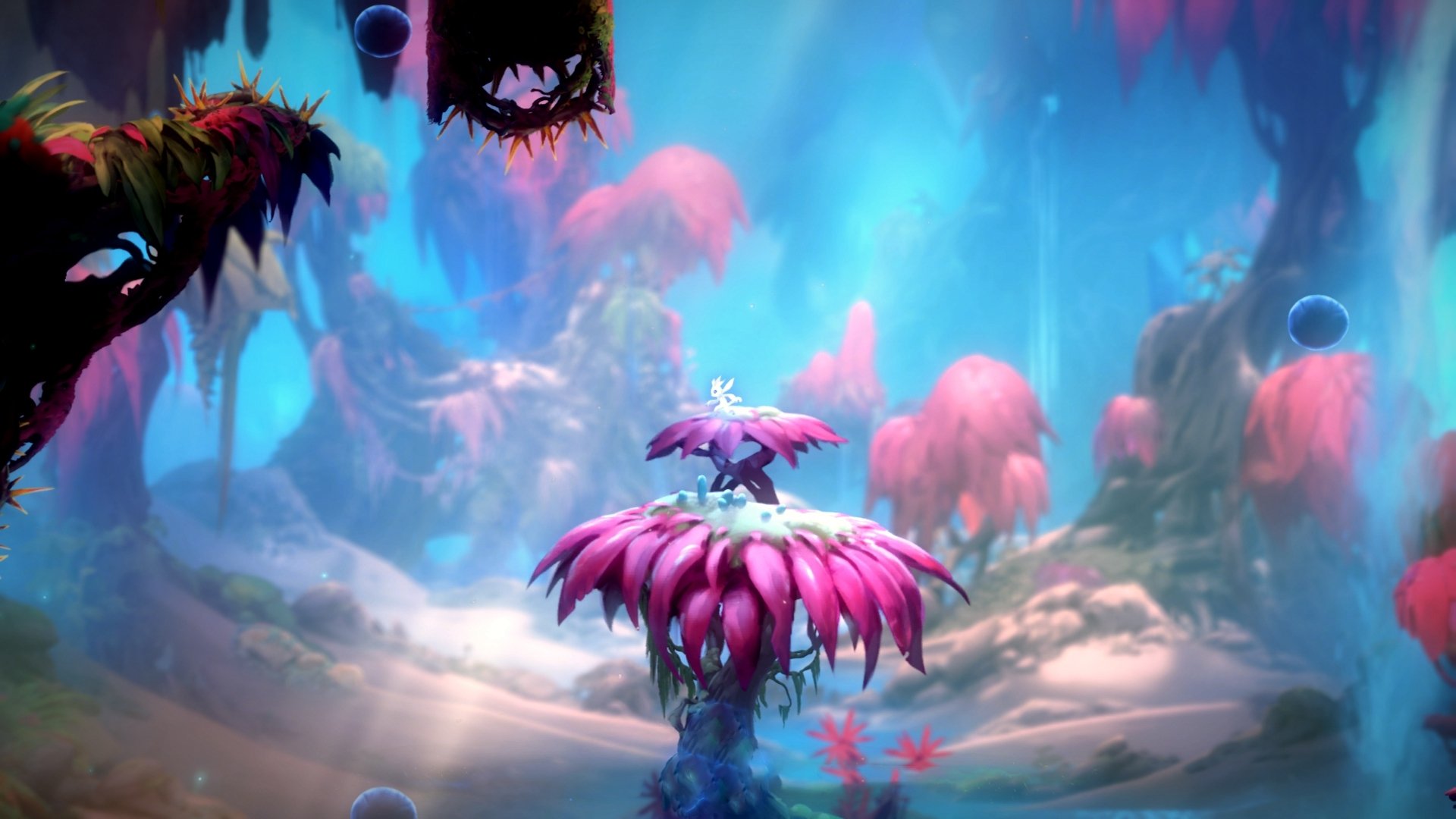 爱游戏娱乐-冰与火之歌，贝蒂斯强势拿下AC米兰，加克波成为关键先生