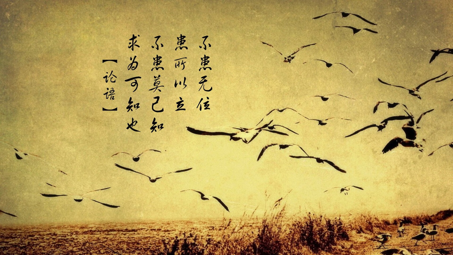 本泽马的刀锋，与韩国的刀锋，一场非典型生死战