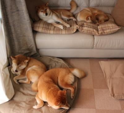 爱游戏在线-鹰击长空，踏平公牛，班凯罗的唯一性时刻