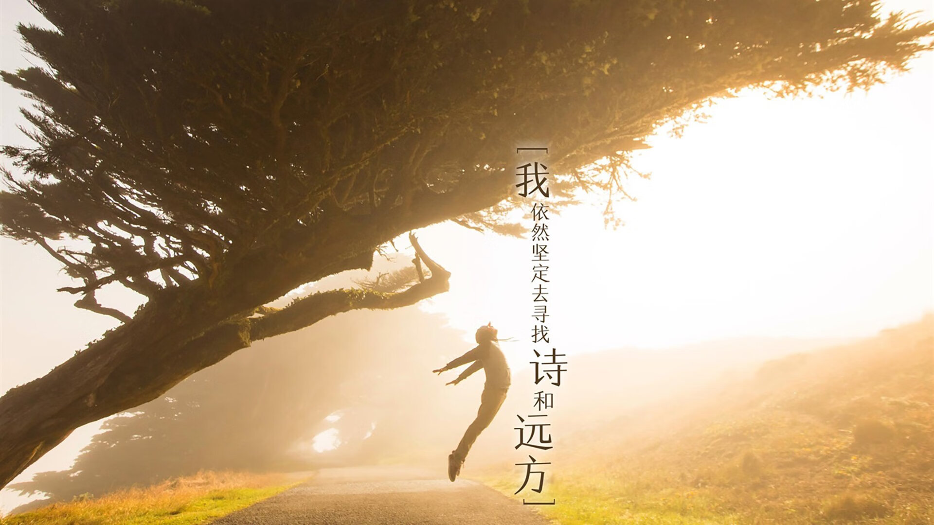 寒冷多伦多猛龙主场，76人新星杰伦·格林却似极光般耀眼