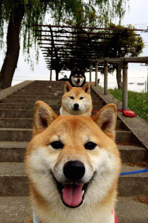 从贝洛奥里藏特到圣西罗，特奥的绿色闪电如何在鏖战中劈开胜利