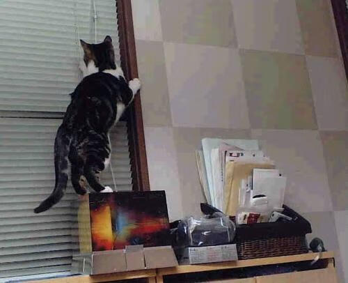 爱游戏在线-北欧童话续写新章，蒂亚戈幽灵一击，撕裂加勒比海防线