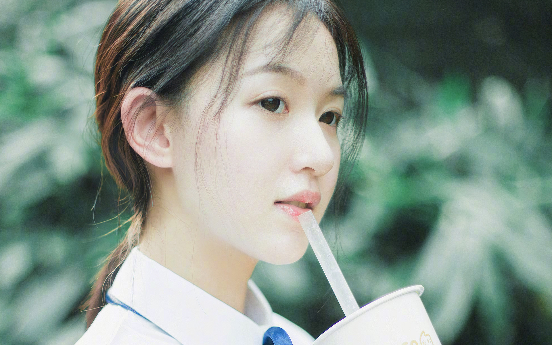 南美风暴席卷郁金香，斯通斯筑起叹息之墙