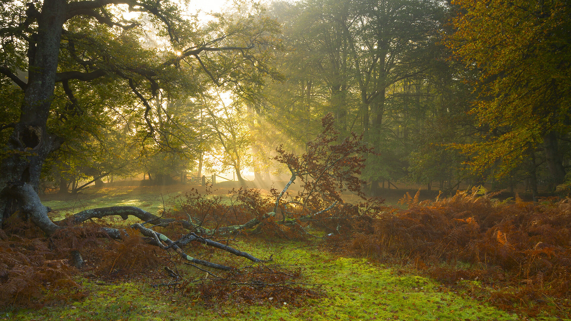 篮球、算法与星辰,当太阳在太原升起