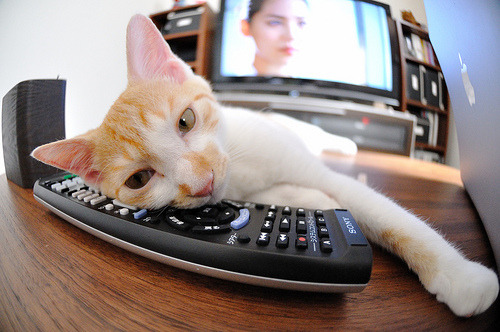 篮球测不准原理，当塔图姆的绝杀、76人的爆发与湖人的崩塌同时发生