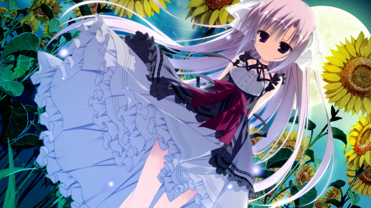 刀刃上的尖峰对决，阿什拉夫燃爆边路，厄瓜多尔与突尼斯上演攻防大戏