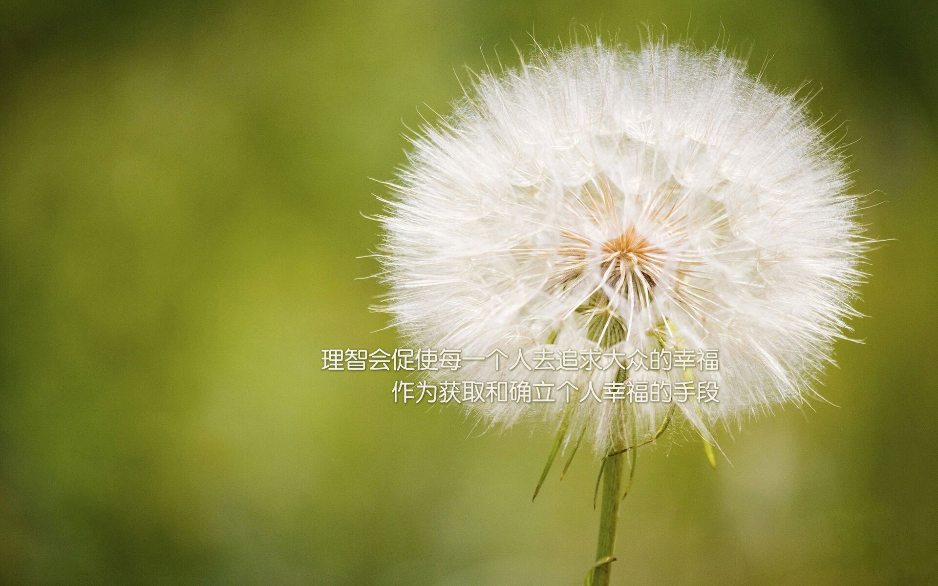 沙漠之鹰的致命羽翼,2026世界杯揭幕战,伊拉克绝杀瑞士,内马尔完成致命一击