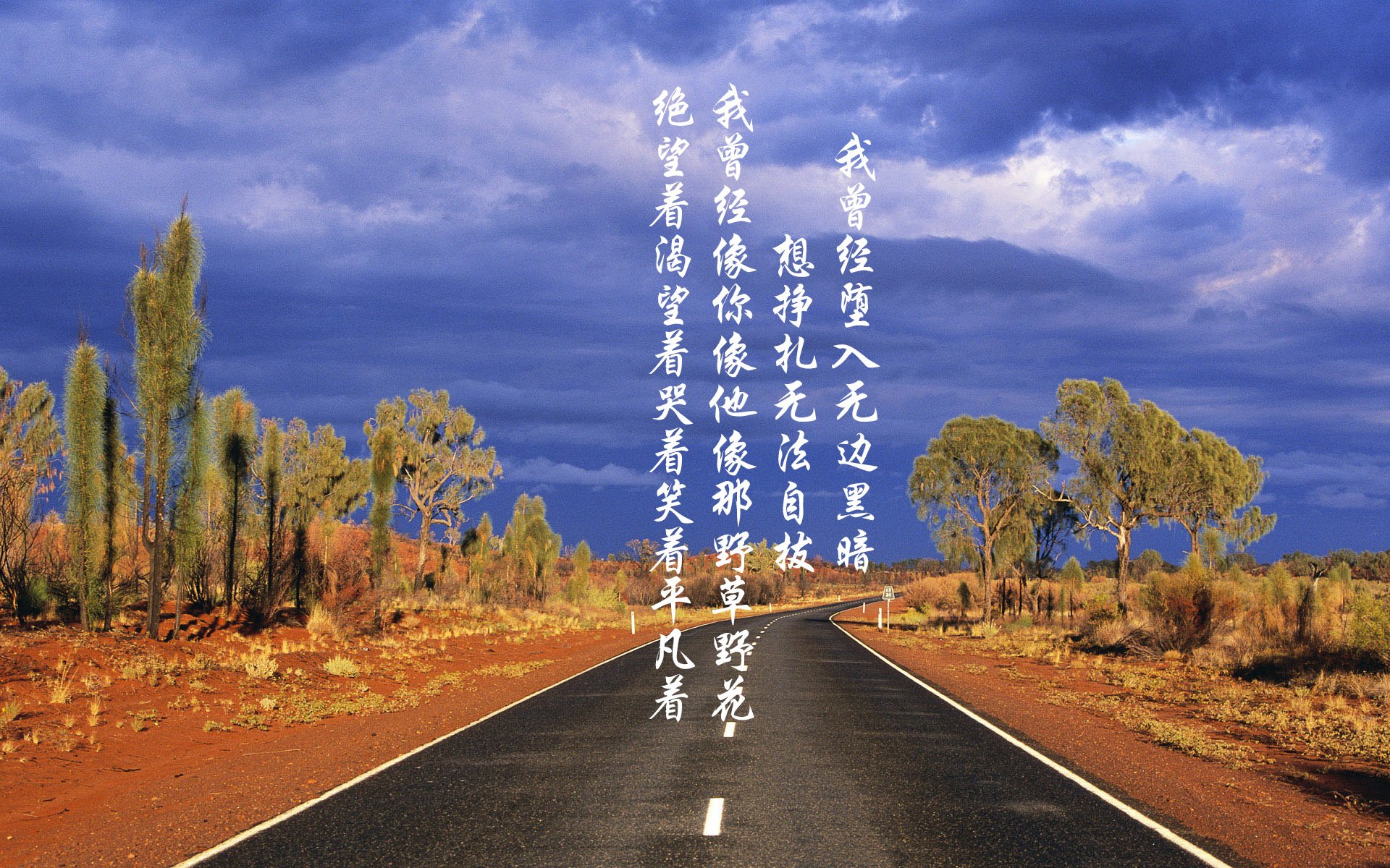 爱游戏官网-王者横扫，红魔闪光，2026世界杯D组葡萄牙风暴中的阿诺德时刻